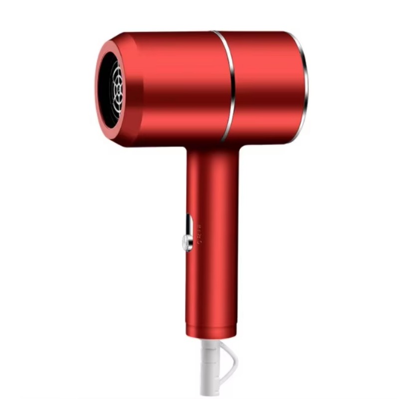 Elektrische haarhamer Föhn Blo - Hair Care Steps recensie en prijs